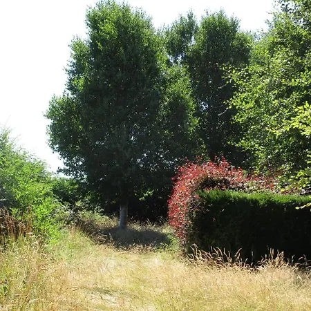Kajon House