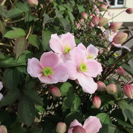 Kajon House Bed & Breakfast 4*